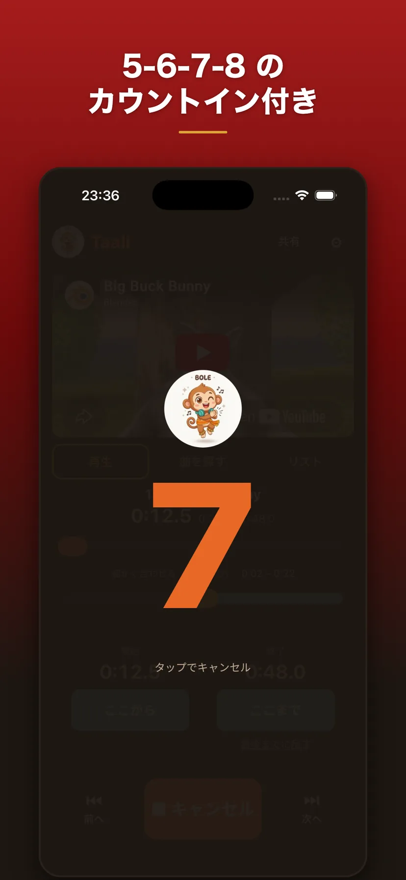 5-6-7-8のカウントイン